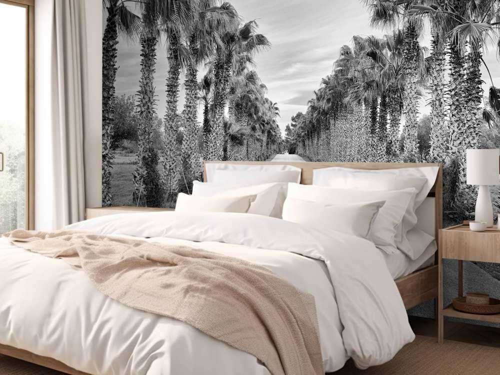 Rue avec des palmiers