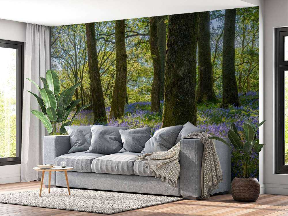 Panorama printanier en forêt