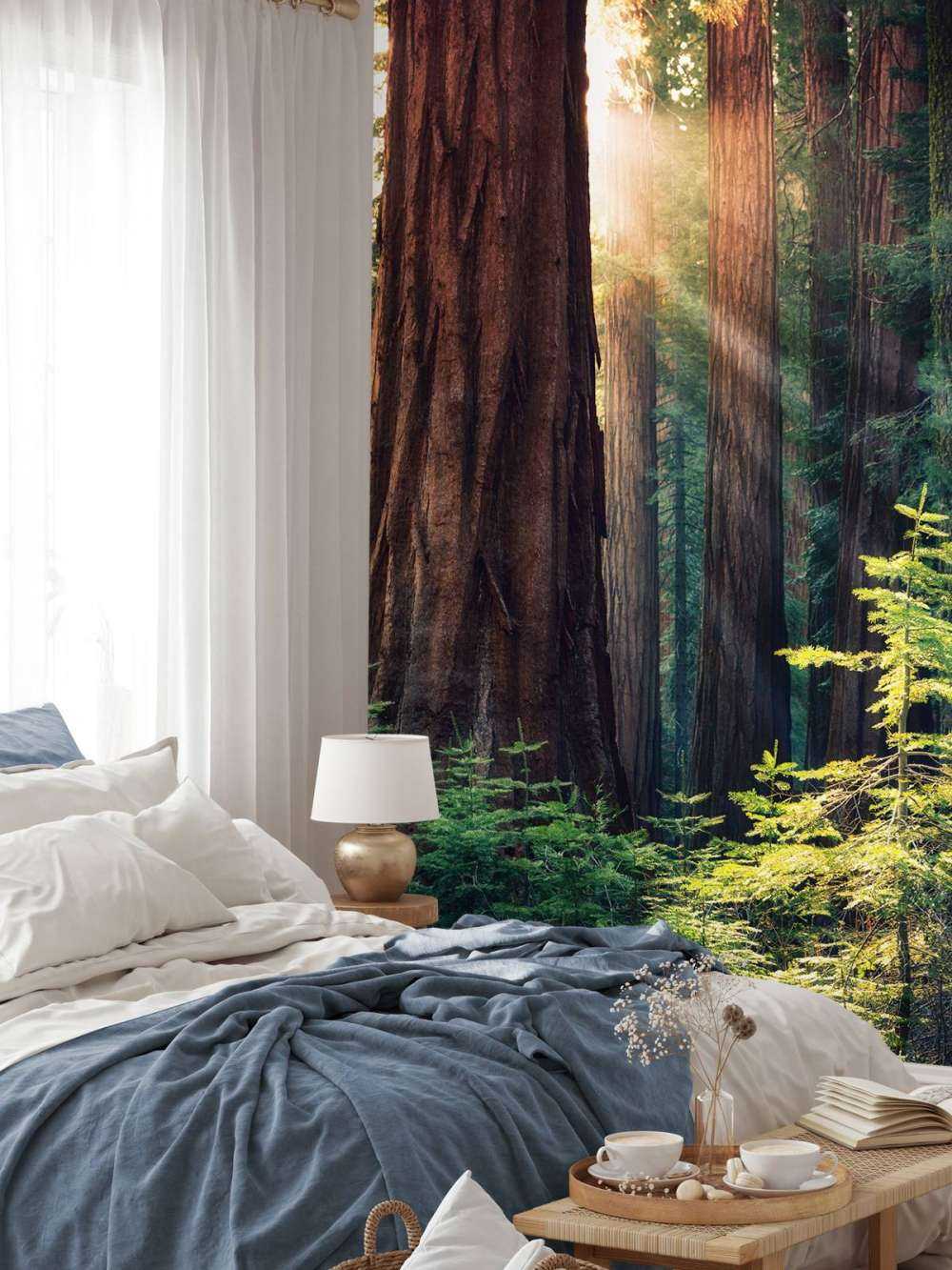 Lumière du soleil entre les acajous