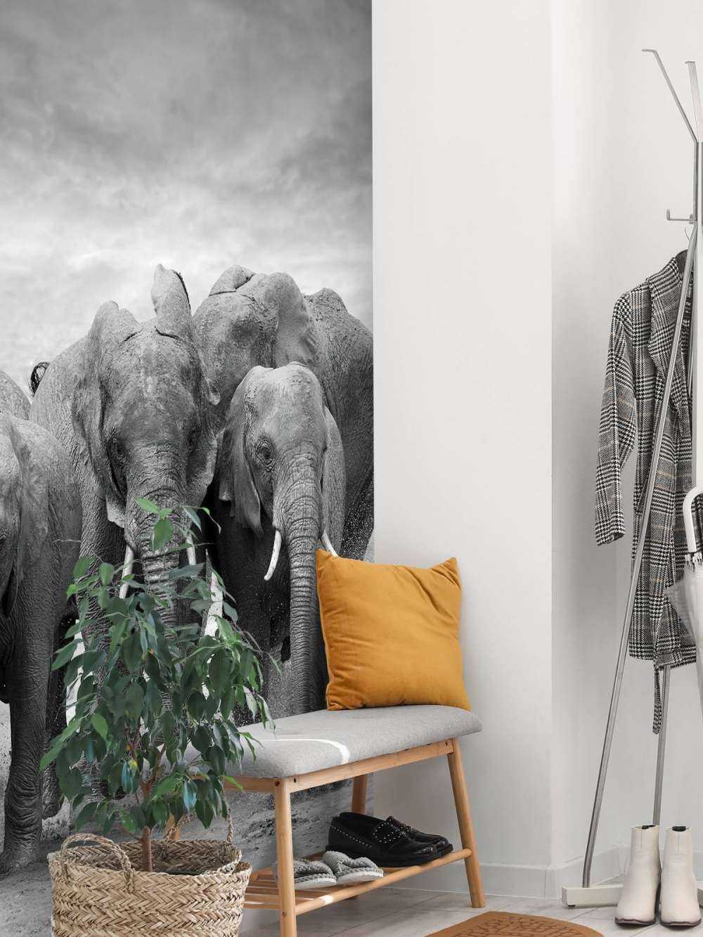 Troupeau d'éléphants