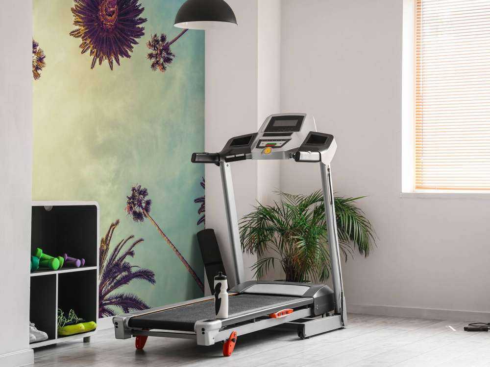 Vue de dessous des palmiers