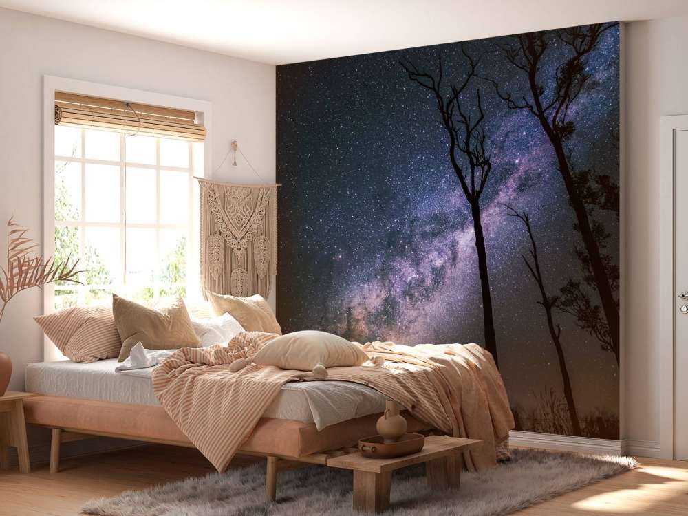 Des étoiles entre les arbres