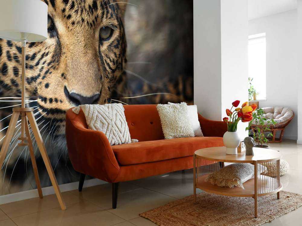 Gros plan d'une tête de léopard