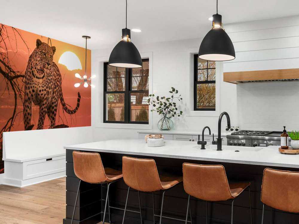 Léopard sous le soleil couchant