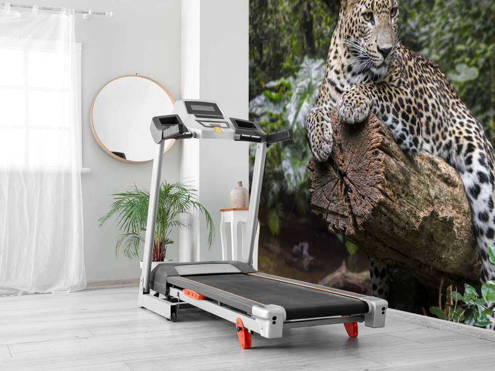 Un léopard sur une branche