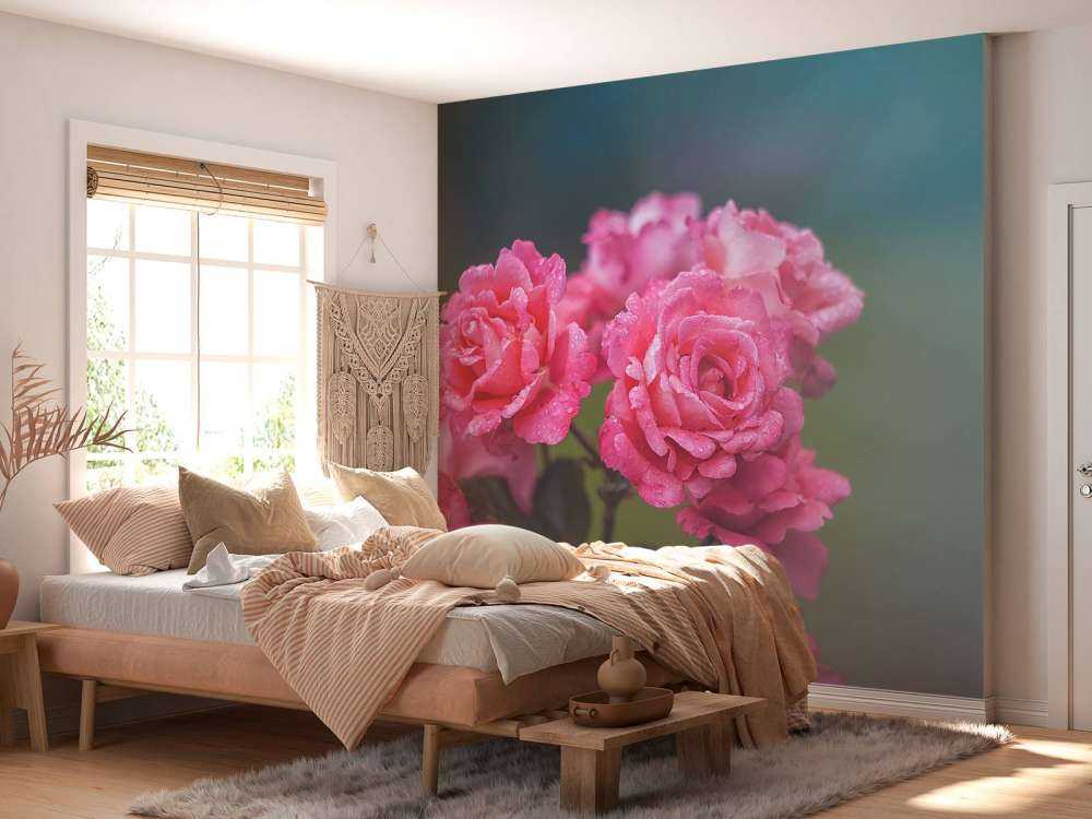 Branche de rose rose