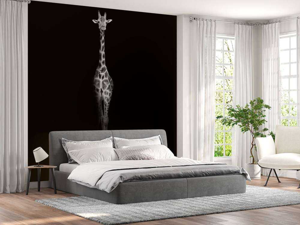 Girafe en noir et blanc