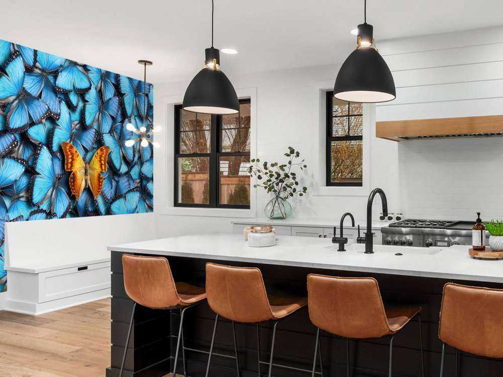 Composition du papillon