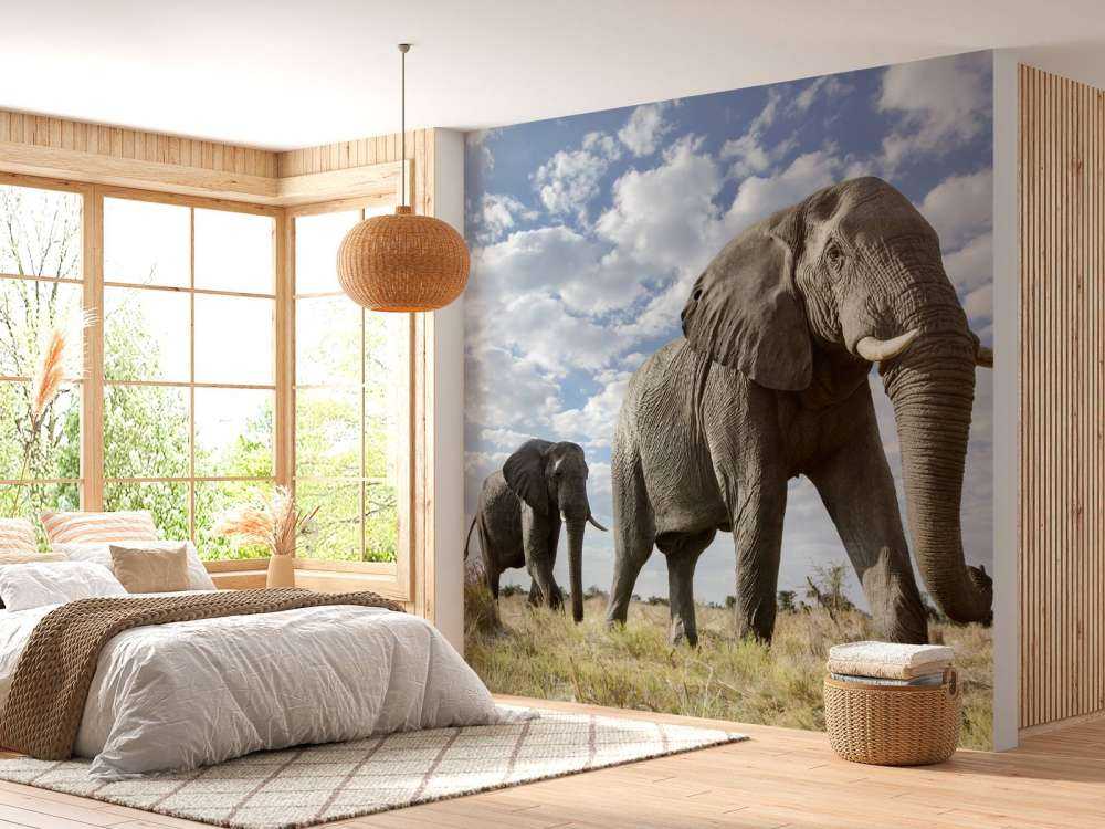 Le passage des éléphants
