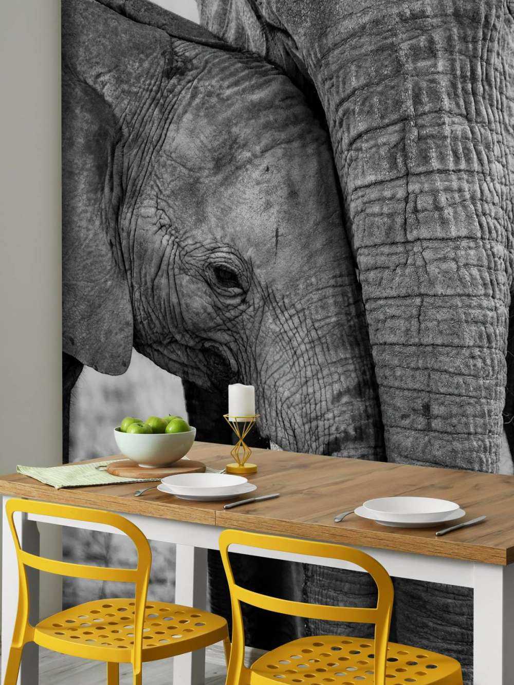 Câliner les éléphants