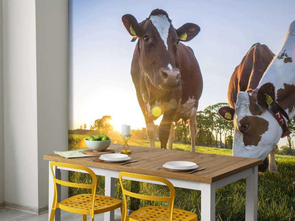 Fond d'écran des vaches