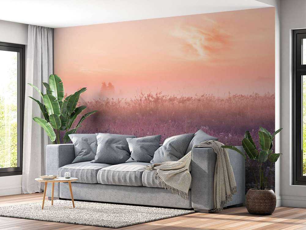 Champ avec brume du matin