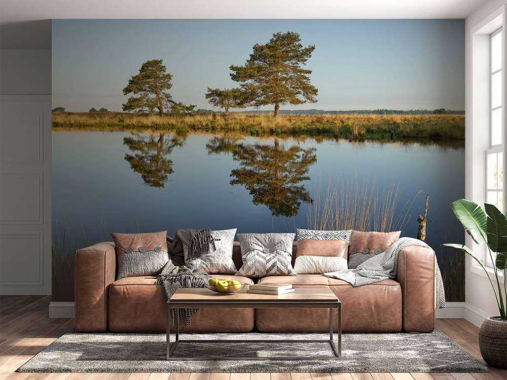 La forêt dans la lande