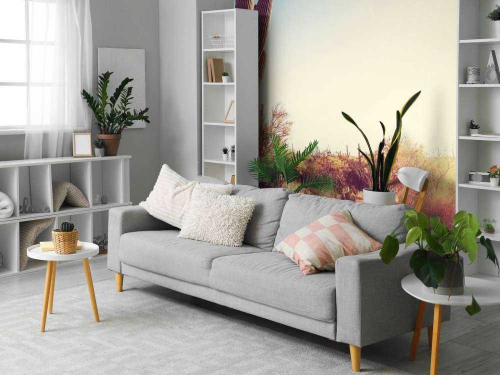 Cactus dans le désert