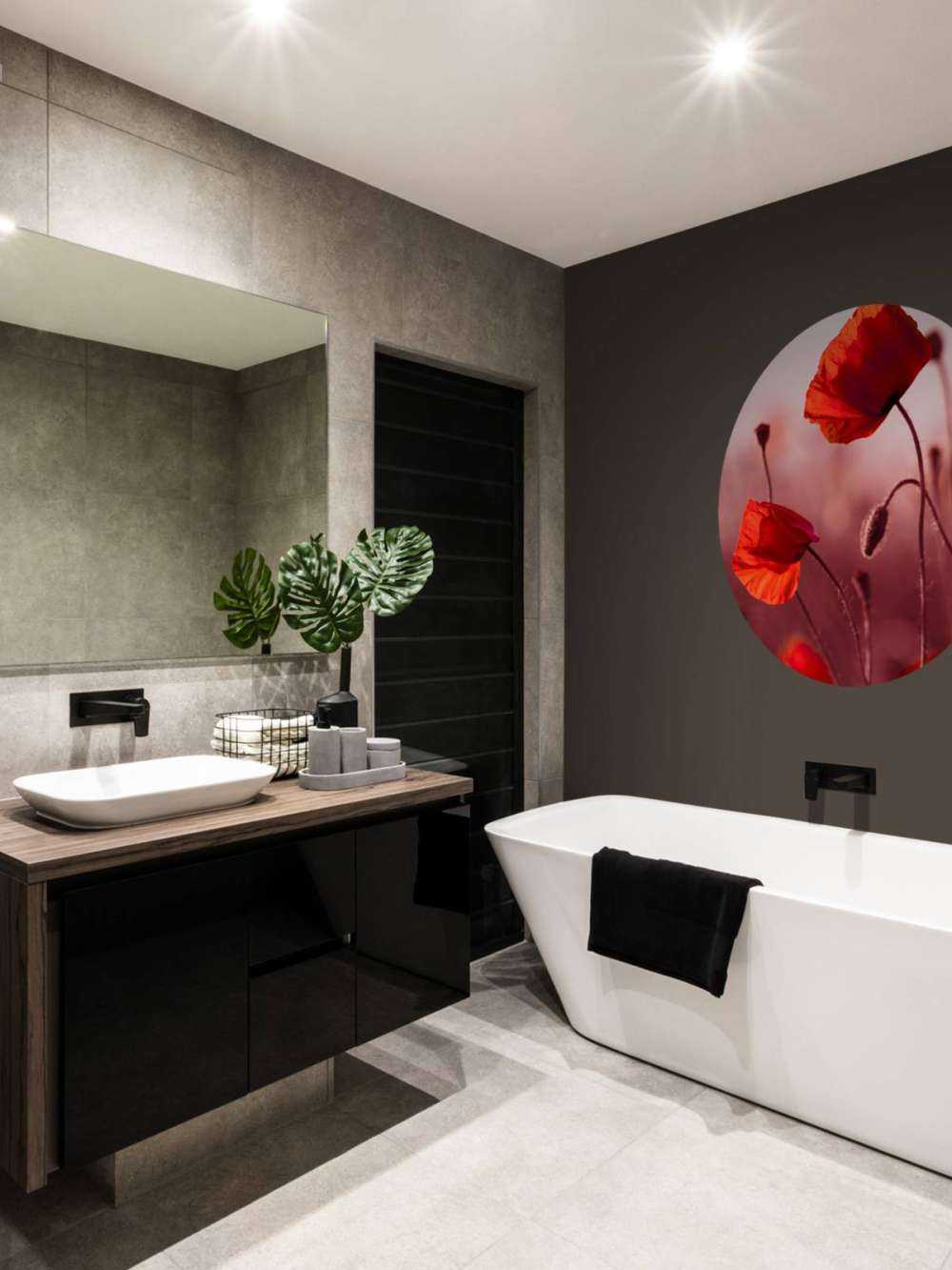 Des coquelicots dans la prairie