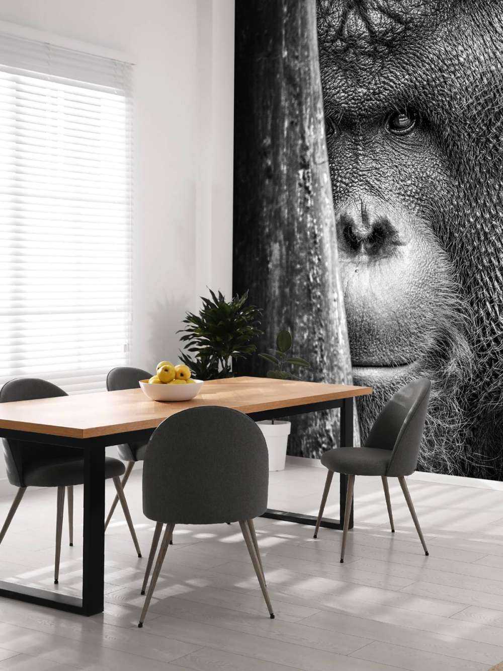 Orang-outan noir et blanc