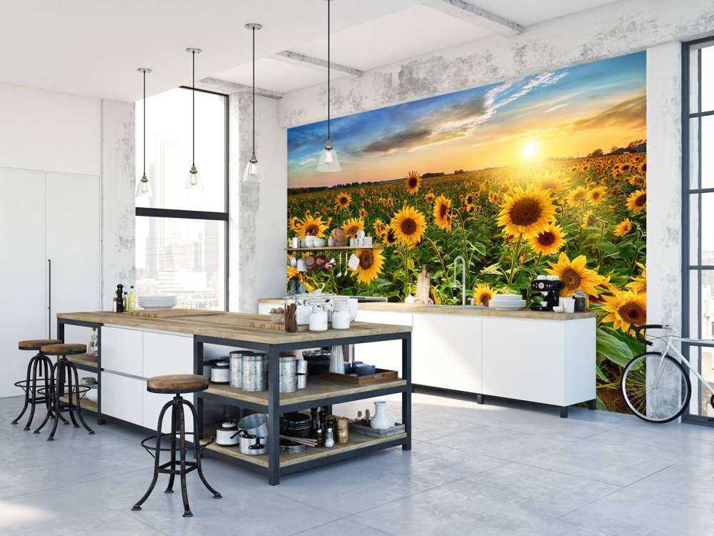 Un beau champ de tournesols