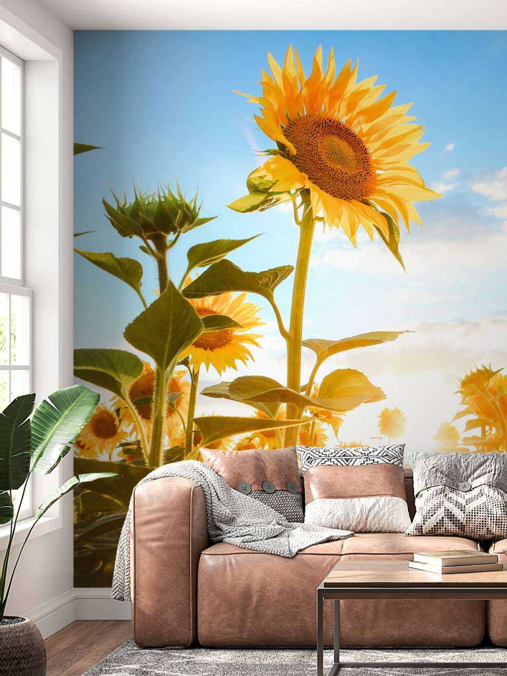 Tournesol avec ciel bleu