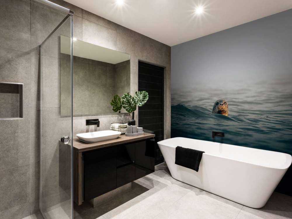 Un phoque au large des côtes danoises