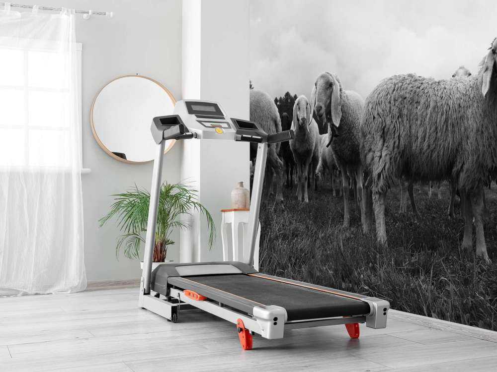 Troupeau de moutons en noir et blanc