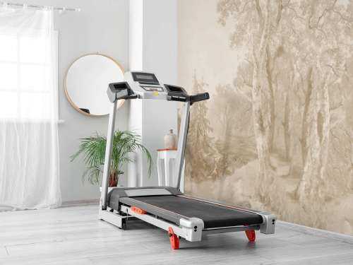 Paysage forestier panorama beige