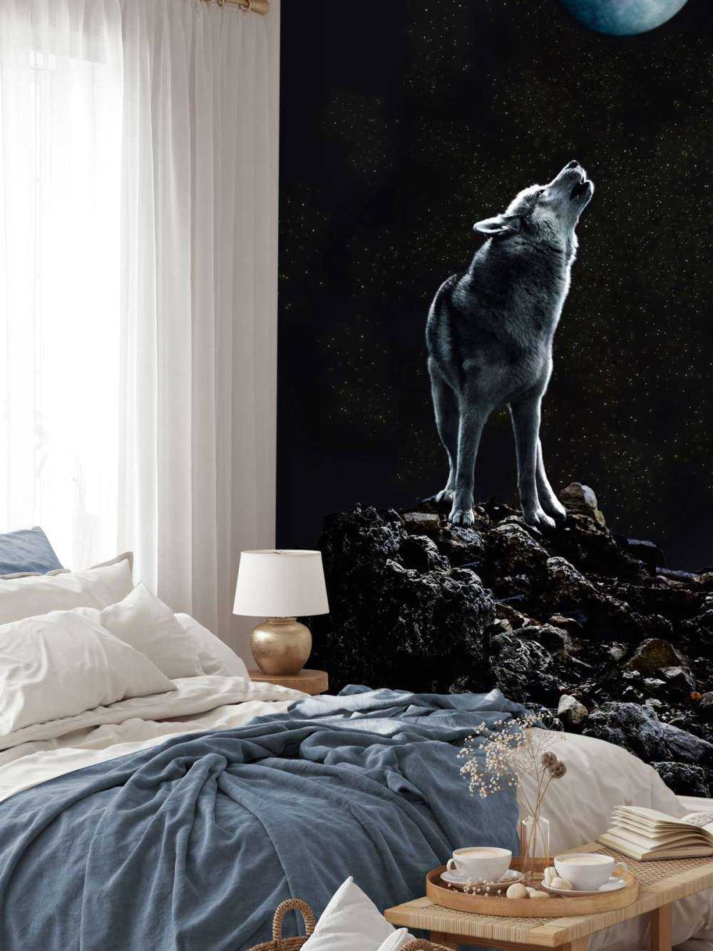 Appel de la lune Veilleur solitaire