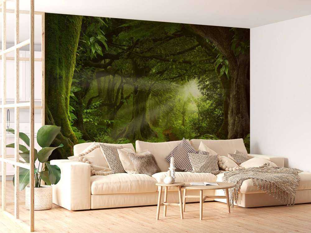 Jungle tropicale avec lumière du soleil