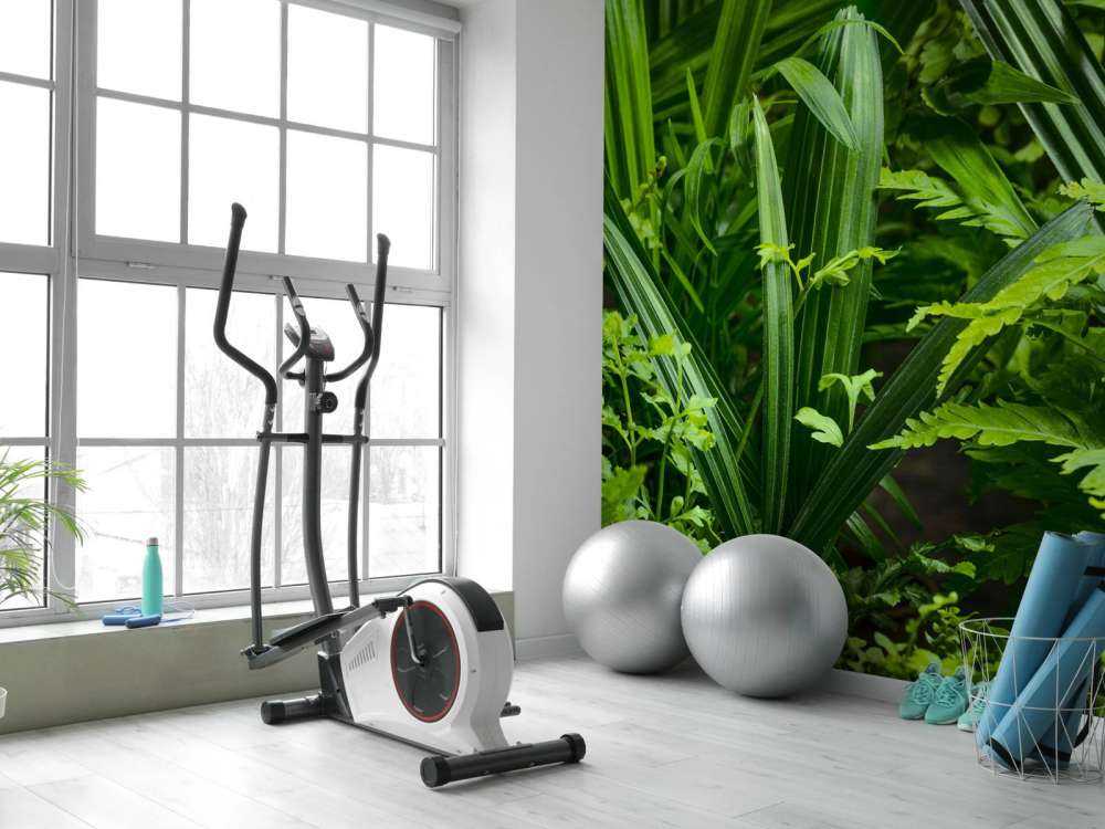 Panorama avec des plantes