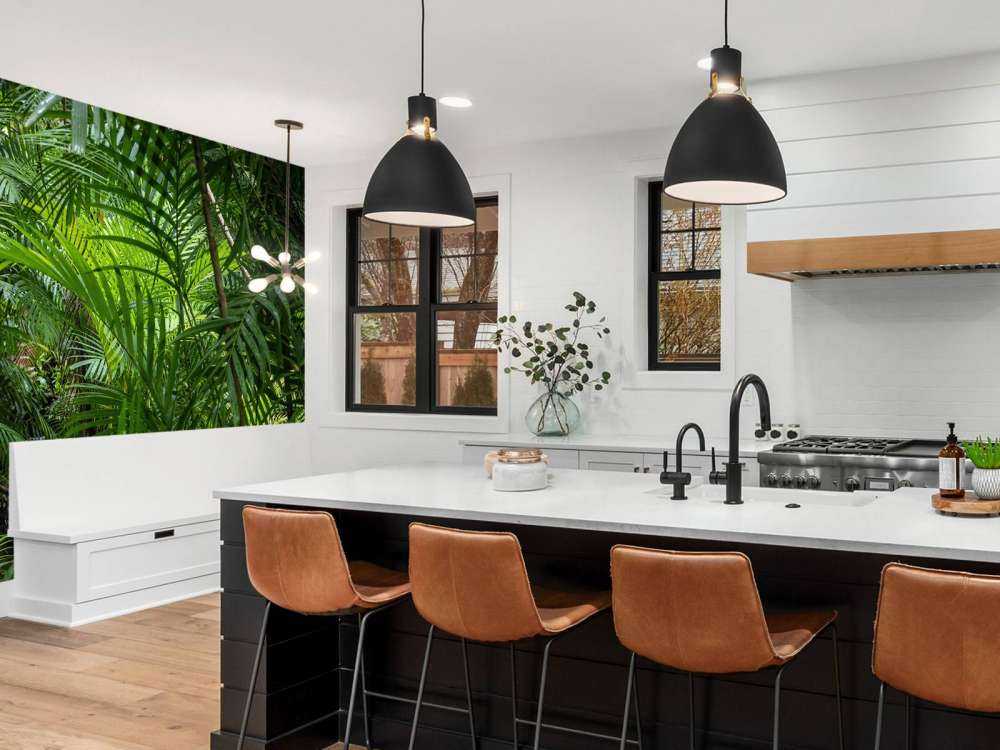 Forêt tropicale humide