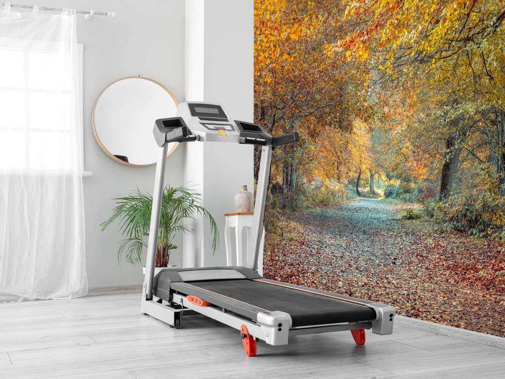 Forêt d’automne avec un feuillage doré
