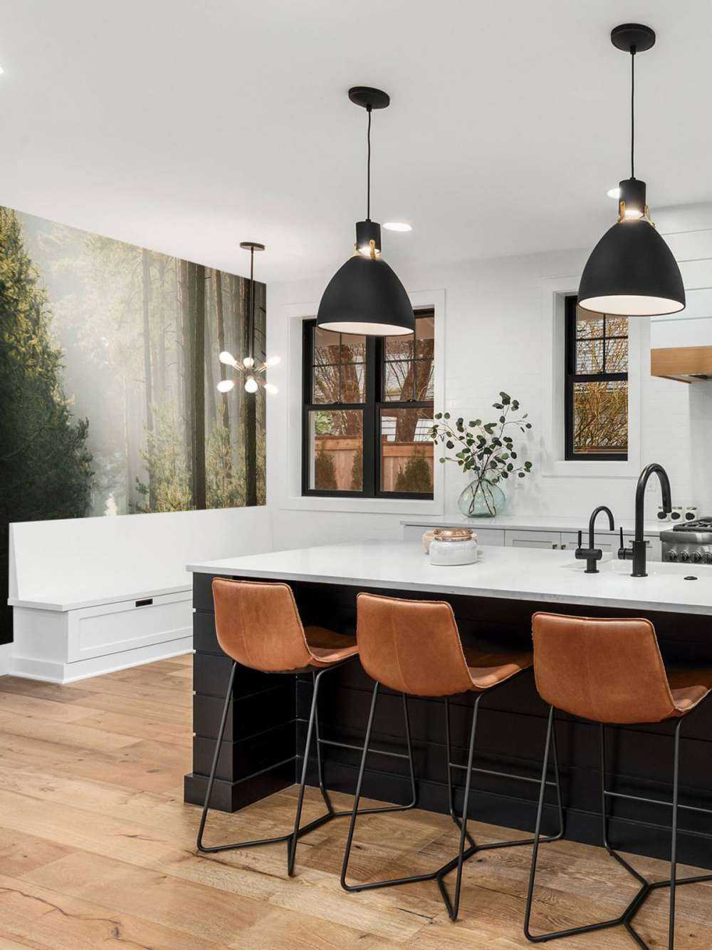 Jeu de lumière dans la forêt de pins