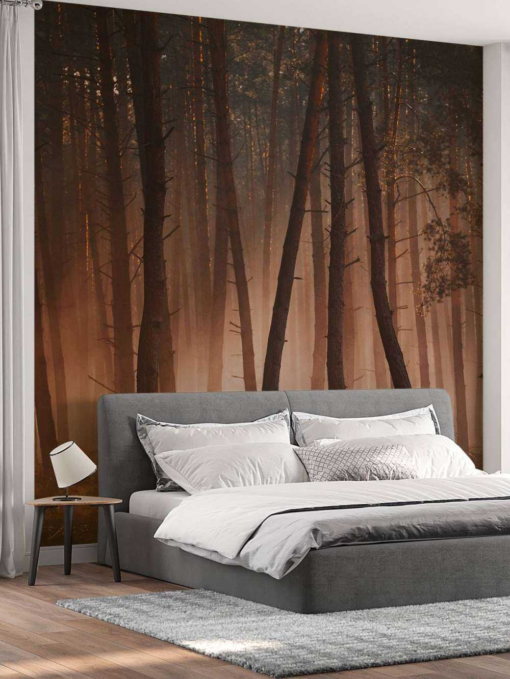 Transition des Saisons