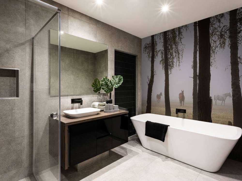 Chevaux dans la brume du matin