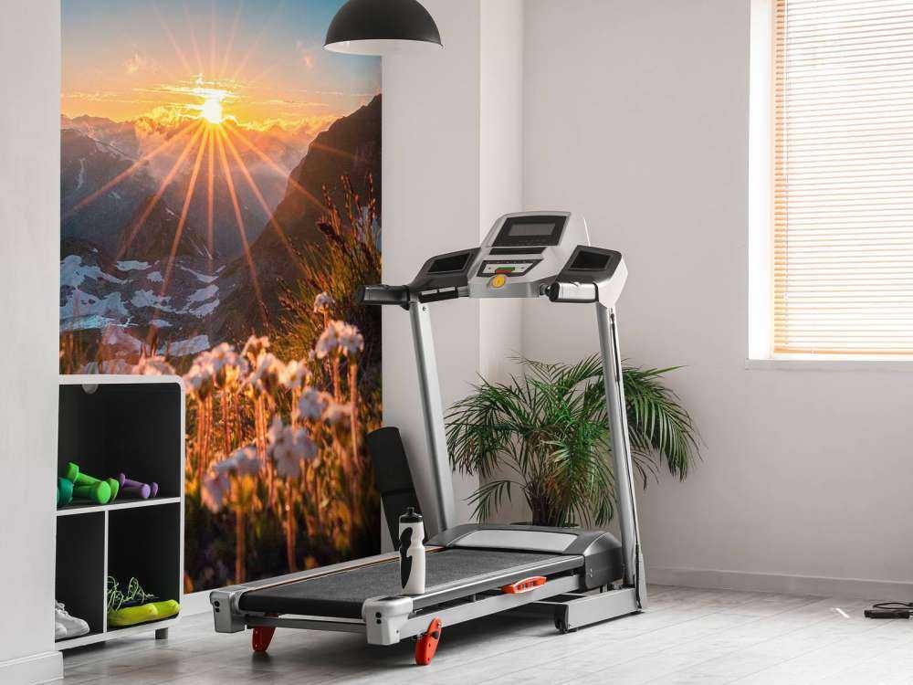 Lumière du soleil sur alpage alpin