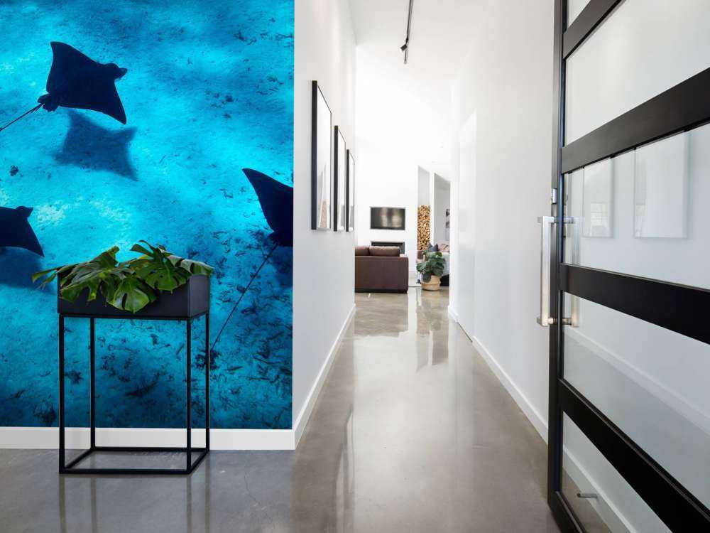 Les raies manta flottant à travers le récif bleu profond