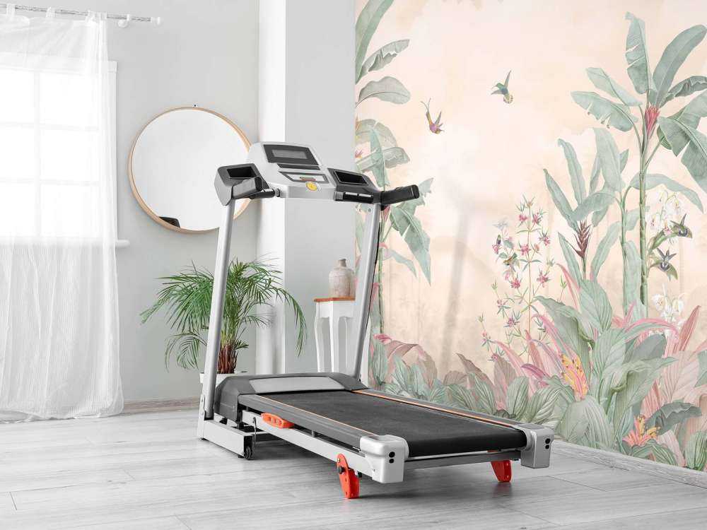 Colibris sous un ciel de nuages doux