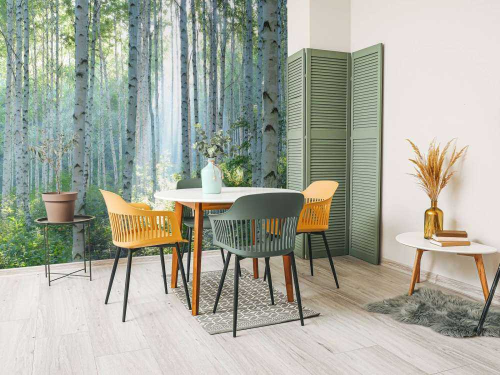 Berkenbos dans la lumière du matin