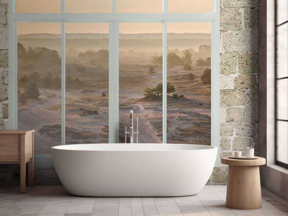 Dune de sable dans la brume du matin