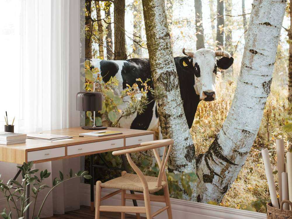 Vache curieuse dans la forêt