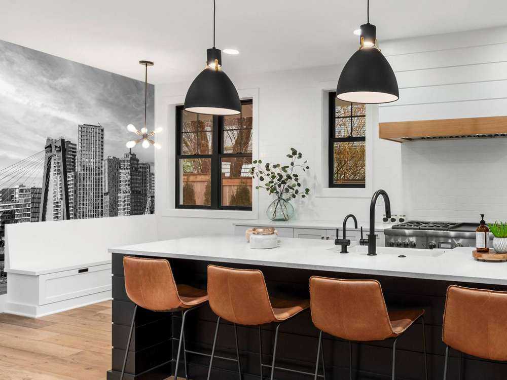 Skyline Noir-Blanc avec Willemsbrug