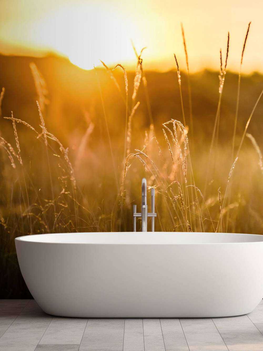 Coucher de soleil entre les grains