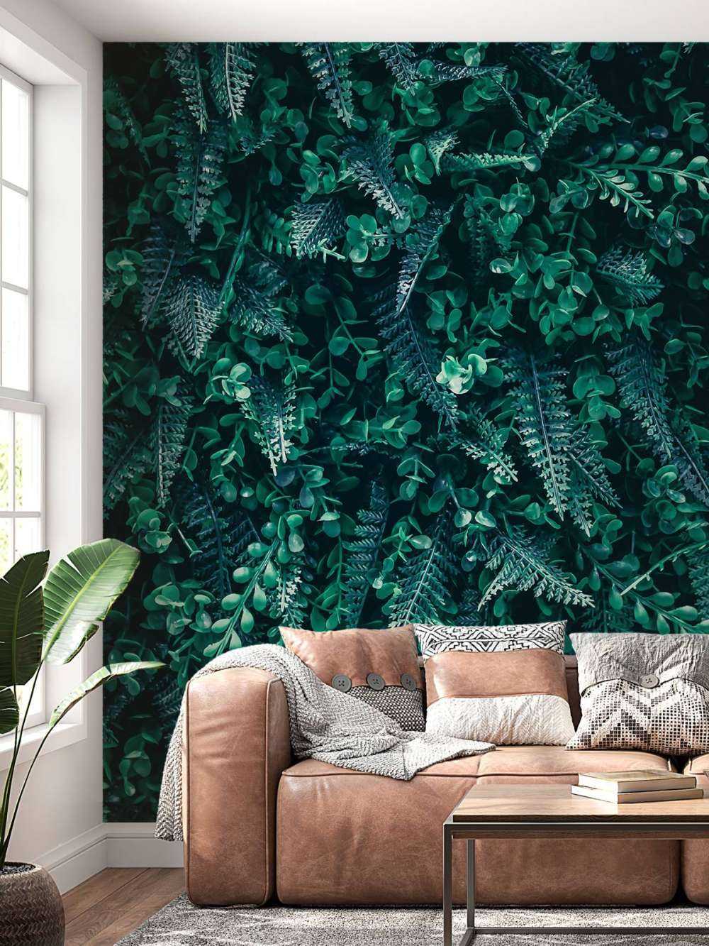 Mur tropical