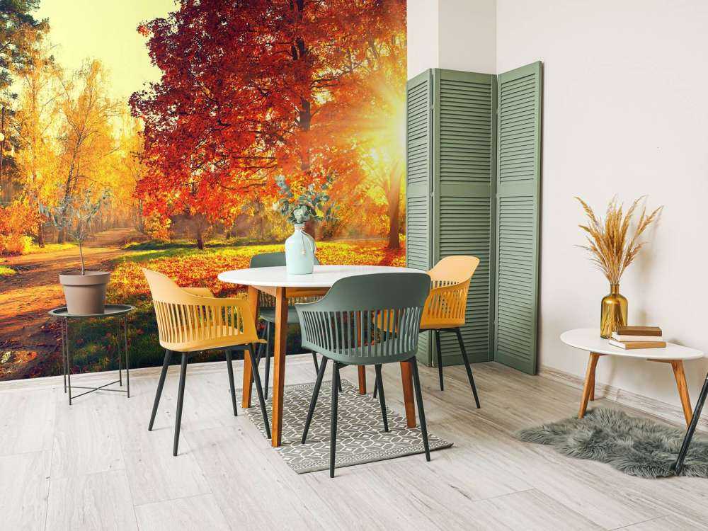 Arbres d'automne au soleil