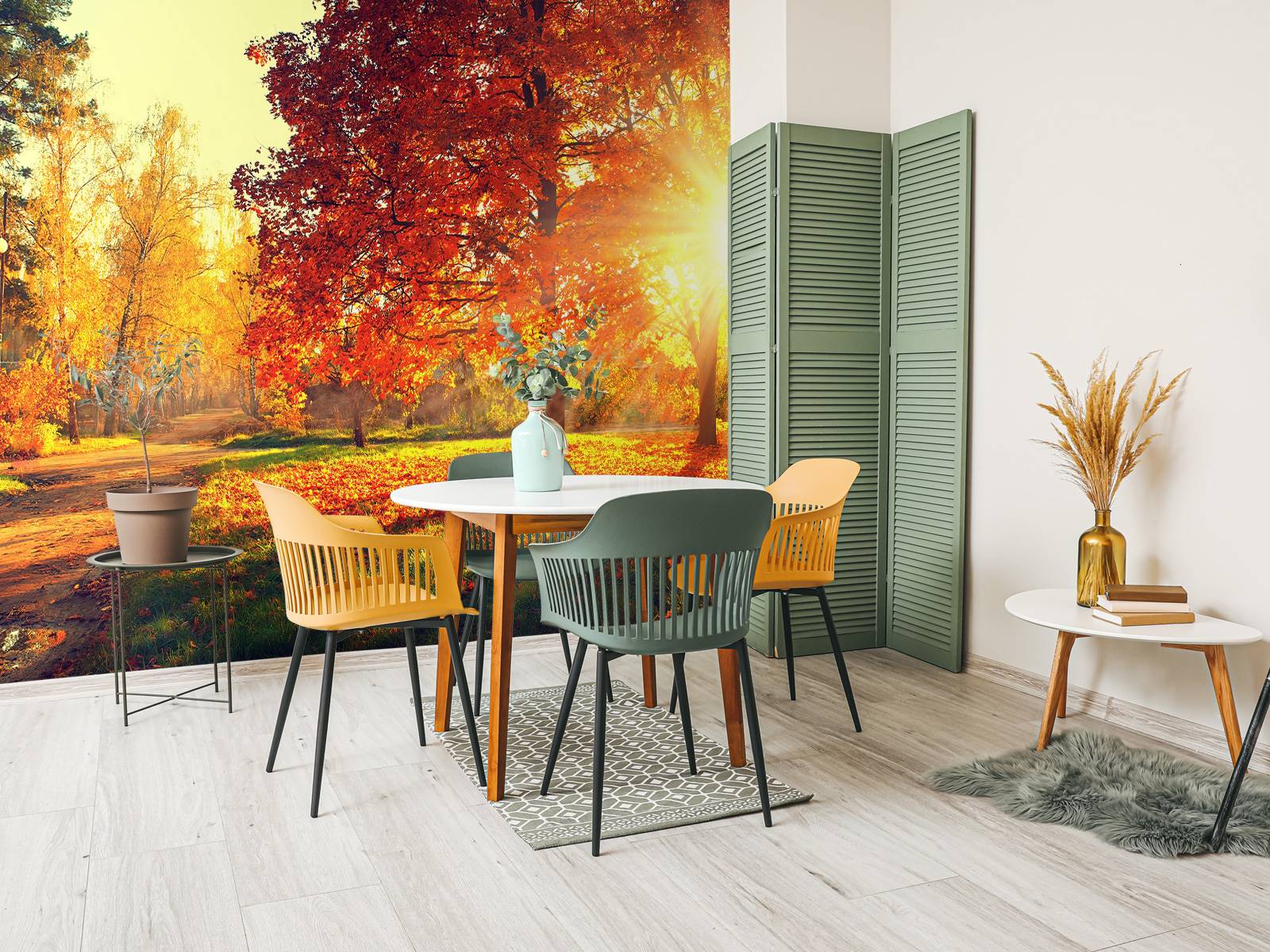 Photo Murale Arbres Clairière D'automne 300x210cm - Photo, Papier