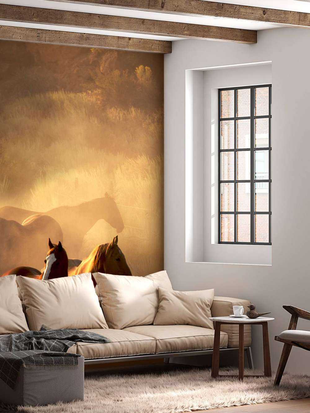 Chevaux au coucher du soleil