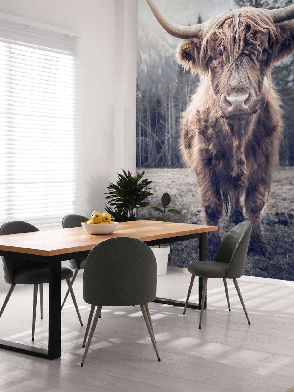 Le Highland écossais au bord de la forêt