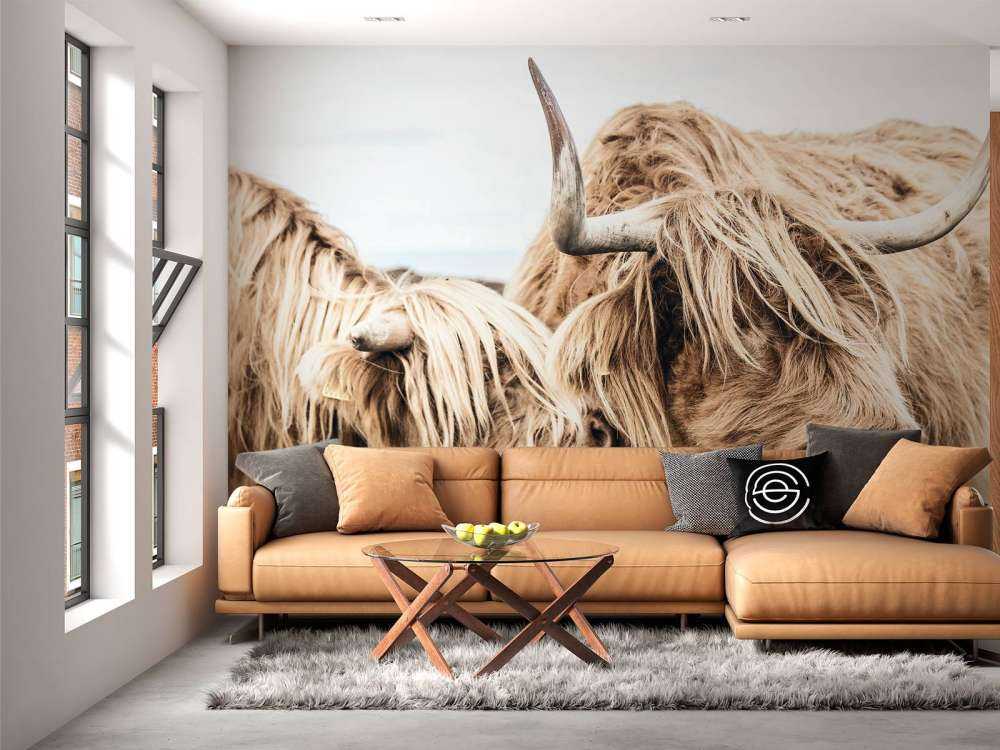 Deux Highlands écossais