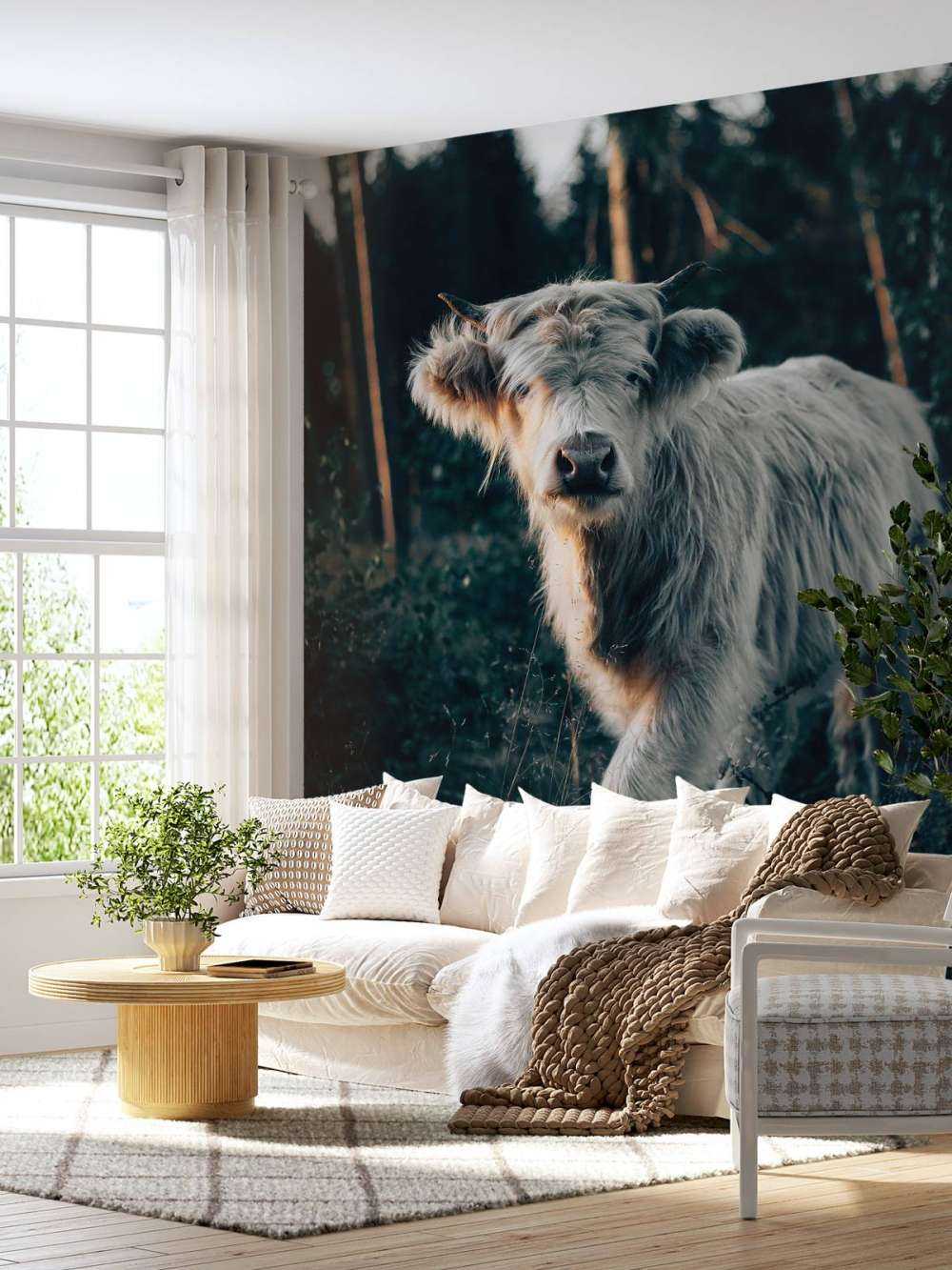 Louveteau écossais Highlander