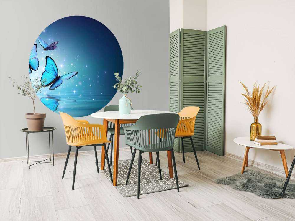 Papillons de fée sur l'eau