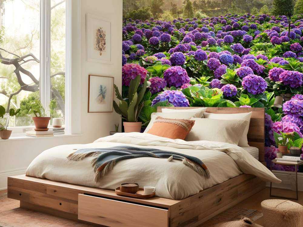 Hortensias dans un champ